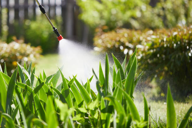 24/7 Emergency Mosquito Control experts in Old Westbury, NY